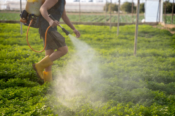 Best Pest Control Near Me  in Pegram, TN