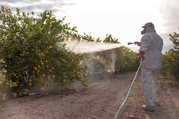 Best Mosquito Control Services  in Pegram, TN