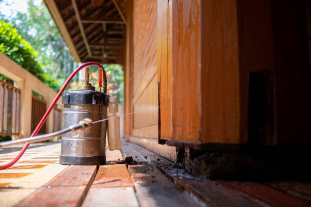 Best Local Pest Control Services  in Pegram, TN