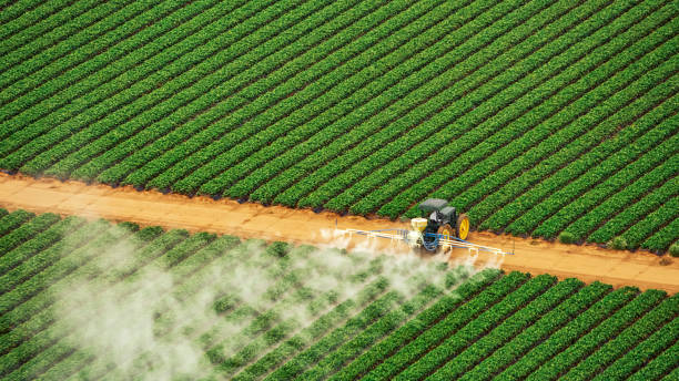 Reliable Pegram, TN Pest Control Solutions
