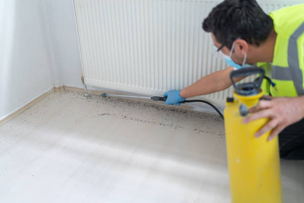 Best Wasp Removal Services  in Pegram, TN