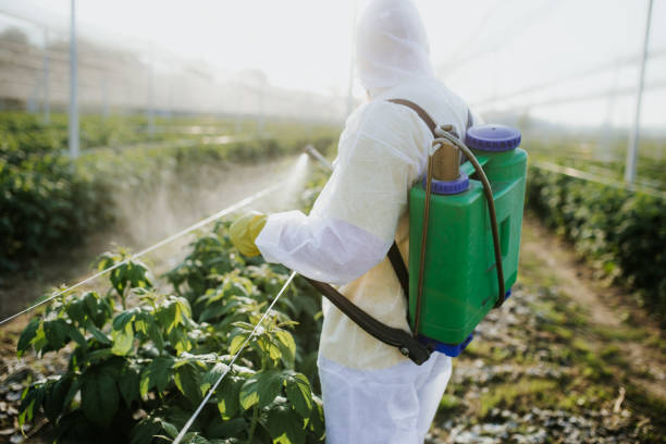 Best Pest Control Near Me  in Pegram, TN